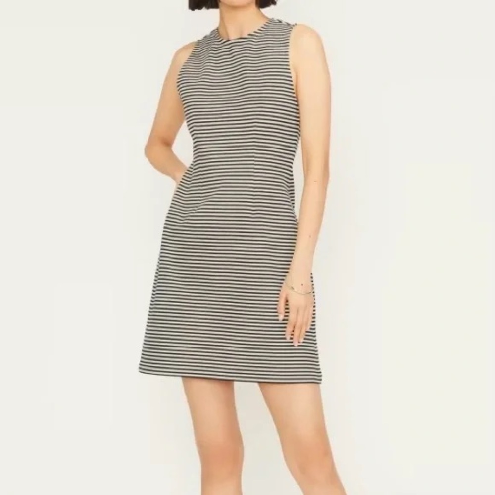 LIKE NEW Everlane Shift Dress in black/cream stripe